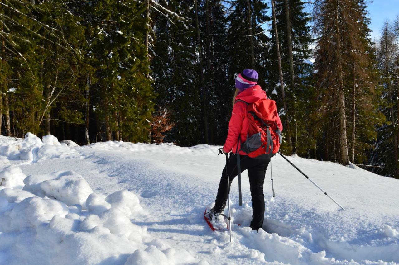 Chalet Serena Roncegno Kültér fotó