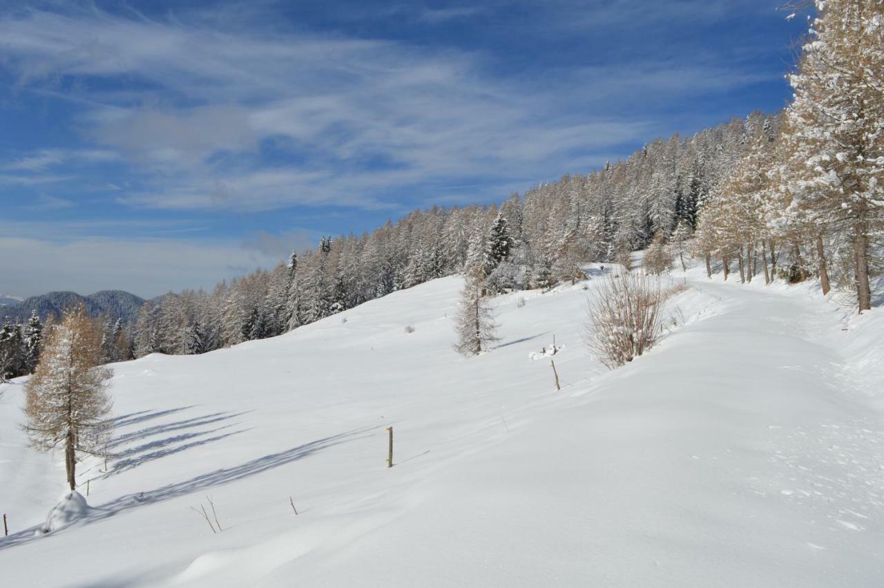 Chalet Serena Roncegno Kültér fotó